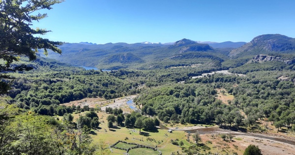 Predio en venta sector Río Norte de 275,0 ha.