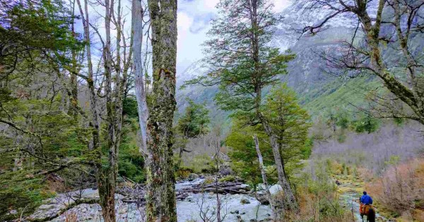 Venta de predio de 55,5 ha. Sector el Malito