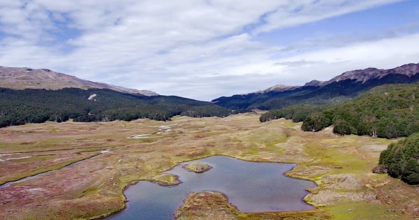 En venta Campo de 295 hectáreas sector El maqui Puerto Guadal, Lago General Carrera